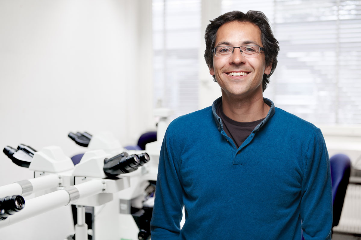 Llorenç Grau Roma, PhD, Dipl. ECVP