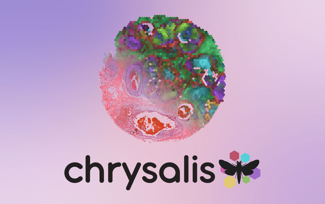 Chrysalis