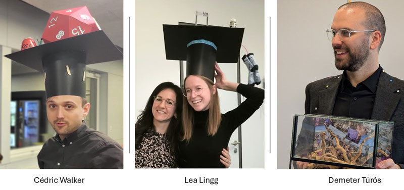 neue PhDs
